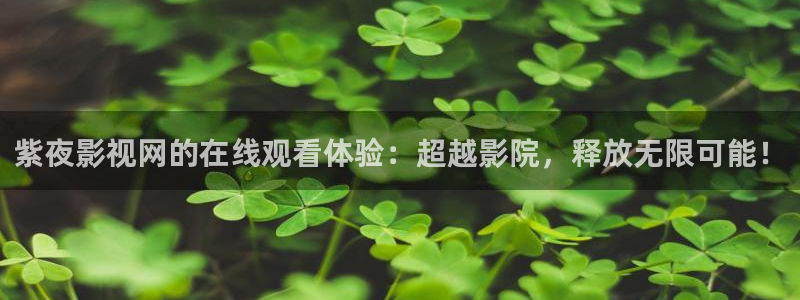 第七直播：紫夜影视网的在线观看体验：超越影院，释放无限可能！