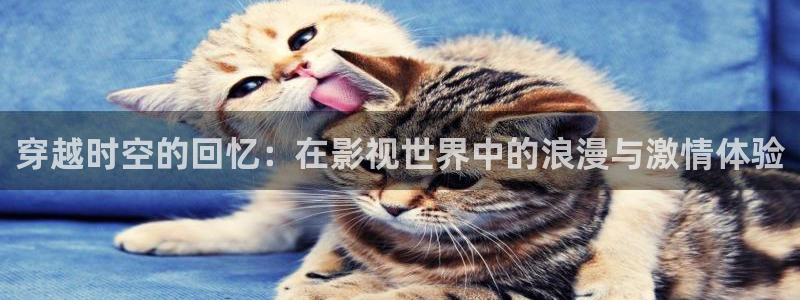 第七影院手机